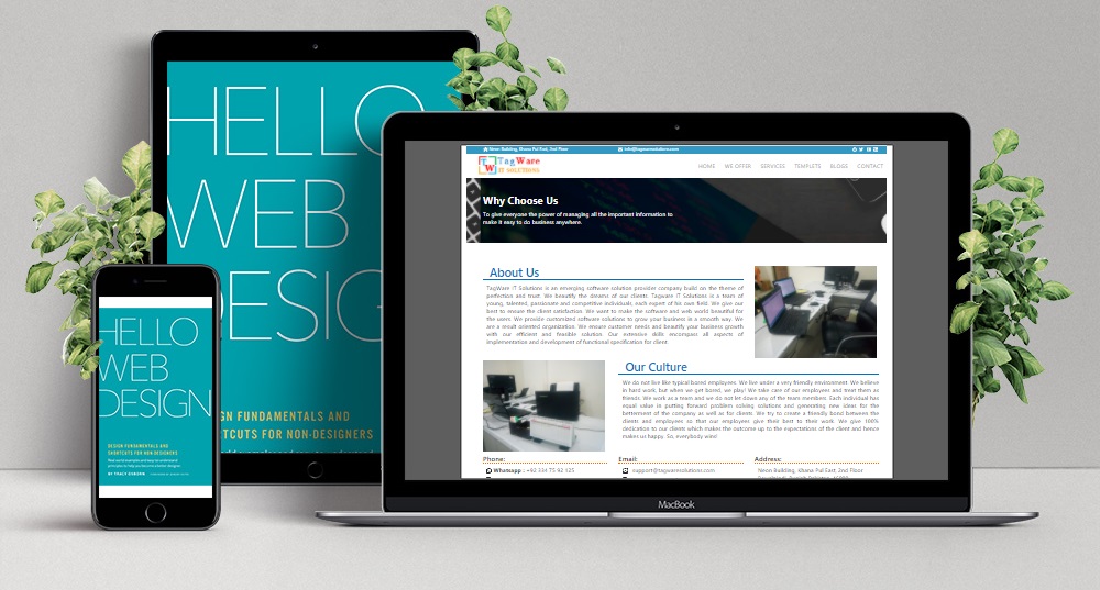 TagWare Solutions (Websites and Softwares Devlopment Company)